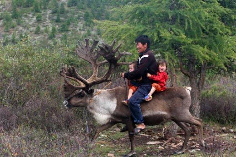 Kuzey Moğolistan'da yaşayan göçebe Türkler: Duhalar