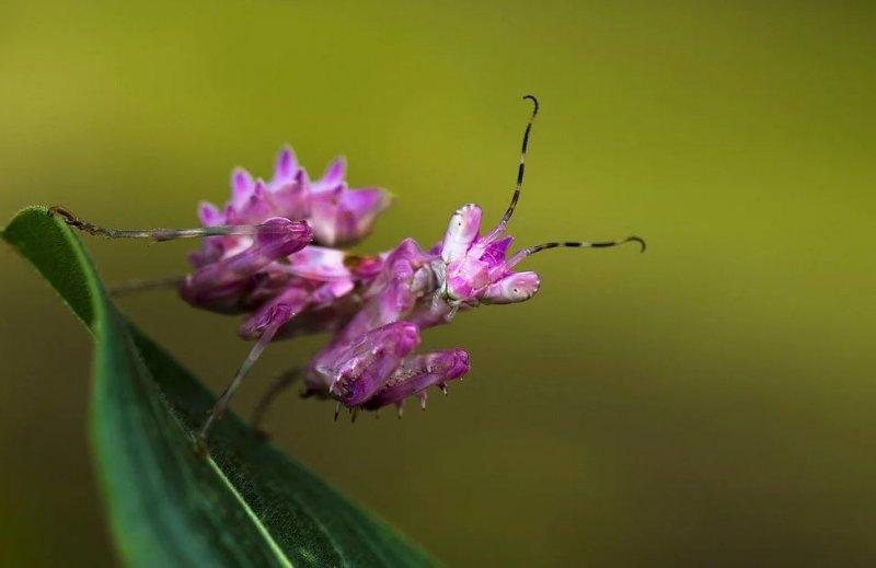National Geographic fotoğraf yarışmasından dikkat çeken fotoğraflar
