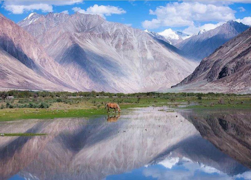 National Geographic fotoğraf yarışmasından dikkat çeken fotoğraflar