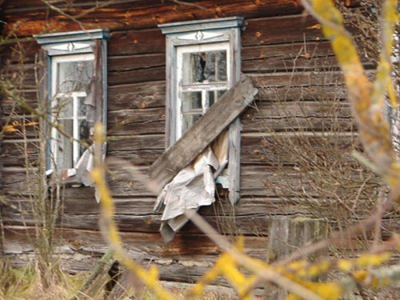 Çernobil faciası sonrası Fukuşima yabani hayvanlara ev oldu