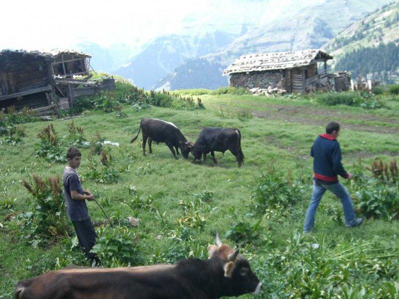 Birbirinden komik köy isimleri