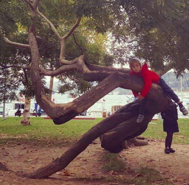 Ünlülerin Instagramı'ndan ilginç fotoğraf ve yorumlar