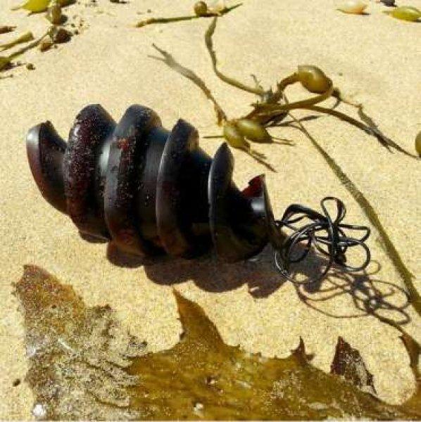 Dünyanın en garip yumurtası 