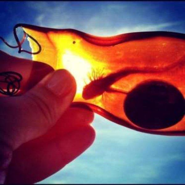 Dünyanın en garip yumurtası 