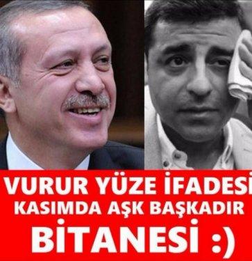 1 Kasım genel seçim capsleri