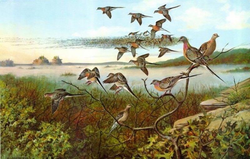 DNA teknolojisiyle tekrar hayata döndürülmek istenen hayvanlar 