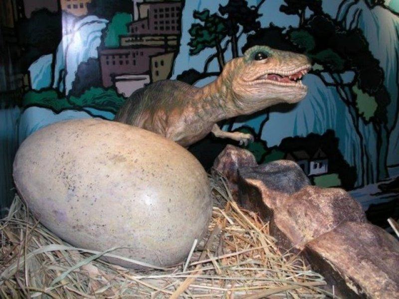 DNA teknolojisiyle tekrar hayata döndürülmek istenen hayvanlar 