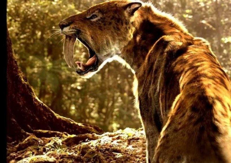 DNA teknolojisiyle tekrar hayata döndürülmek istenen hayvanlar 