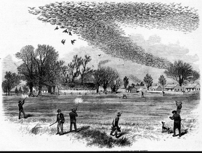 DNA teknolojisiyle tekrar hayata döndürülmek istenen hayvanlar 