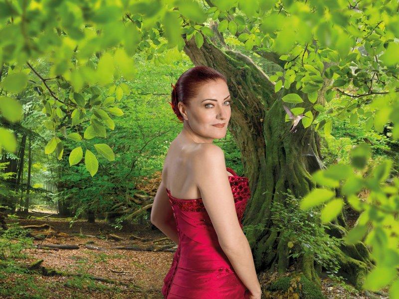 Ünlü isimlerin eski meslekleri 