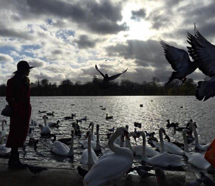 Ünlülerin objektifinden 16 Kasım Instagram paylaşımları 