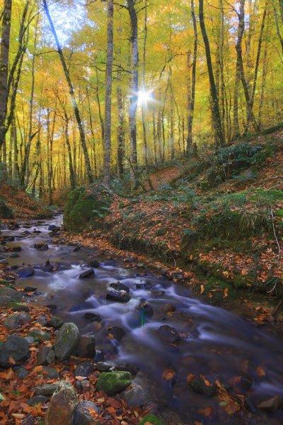Saklı cennet Yedigöller'de sonbahar 