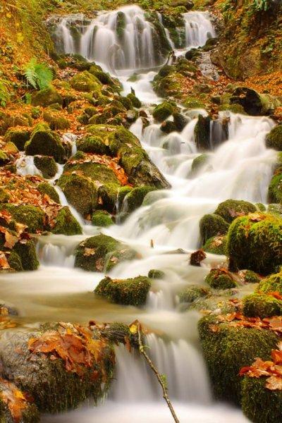 Saklı cennet Yedigöller'de sonbahar 