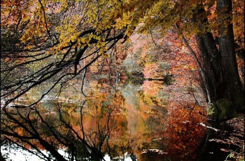 Saklı cennet Yedigöller'de sonbahar 