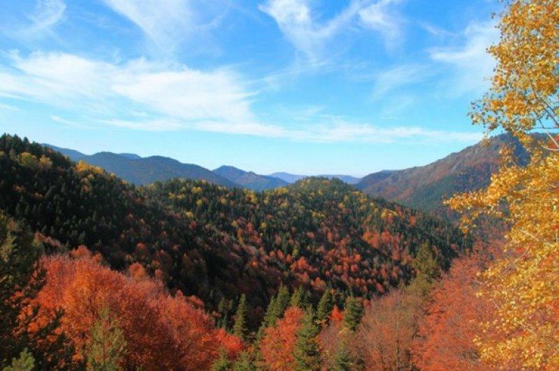 Saklı cennet Yedigöller'de sonbahar 