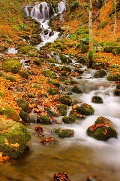 Saklı cennet Yedigöller'de sonbahar 