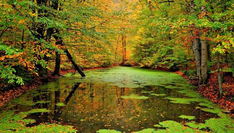 Saklı cennet Yedigöller'de sonbahar 