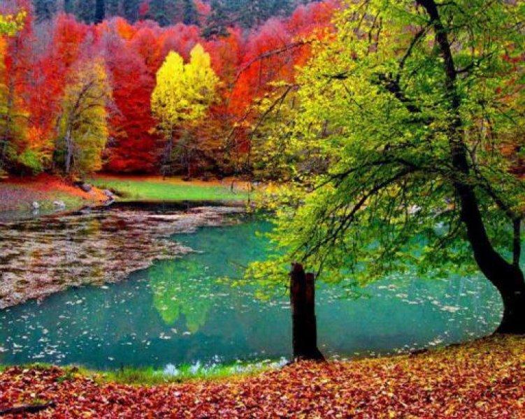 Saklı cennet Yedigöller'de sonbahar 