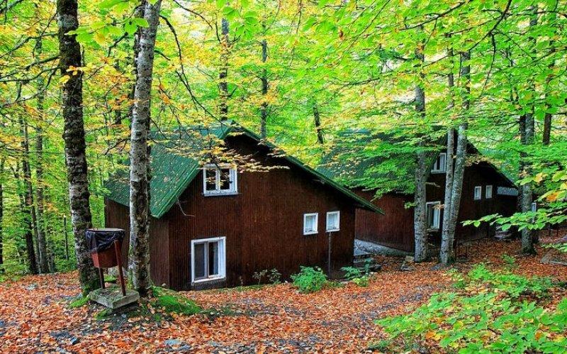 Saklı cennet Yedigöller'de sonbahar 