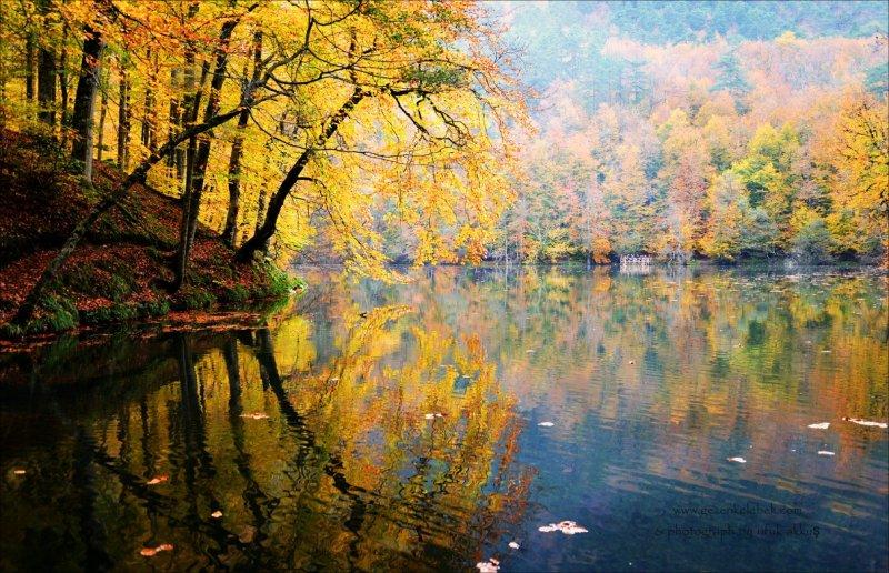 Saklı cennet Yedigöller'de sonbahar 