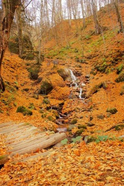 Saklı cennet Yedigöller'de sonbahar 