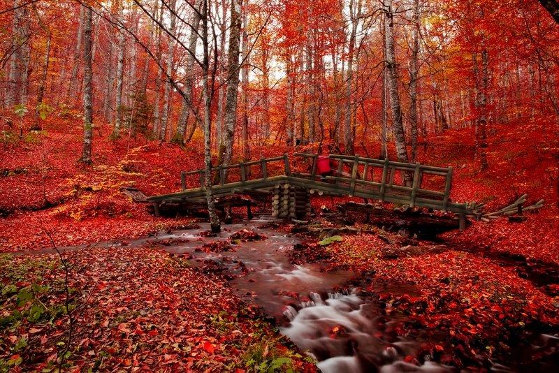 Saklı cennet Yedigöller'de sonbahar 