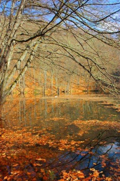 Saklı cennet Yedigöller'de sonbahar 