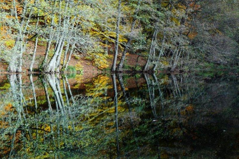 Saklı cennet Yedigöller'de sonbahar 