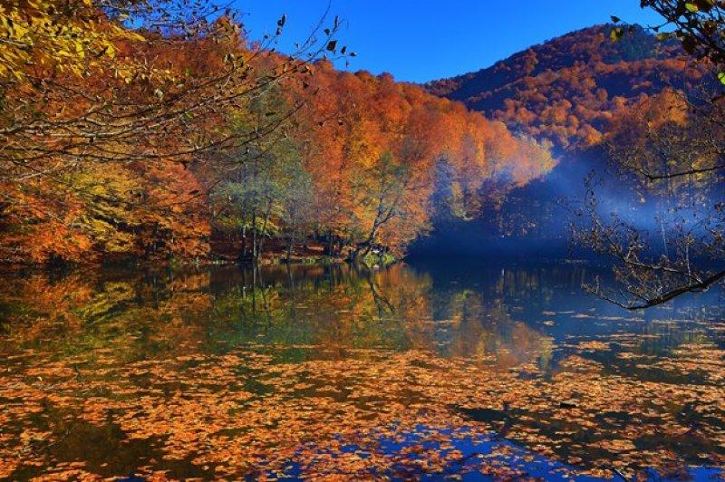 Saklı cennet Yedigöller'de sonbahar 
