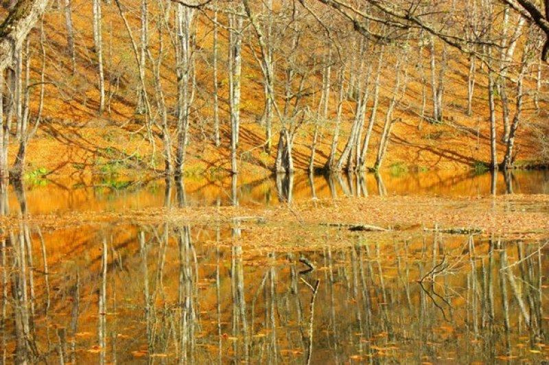 Saklı cennet Yedigöller'de sonbahar 