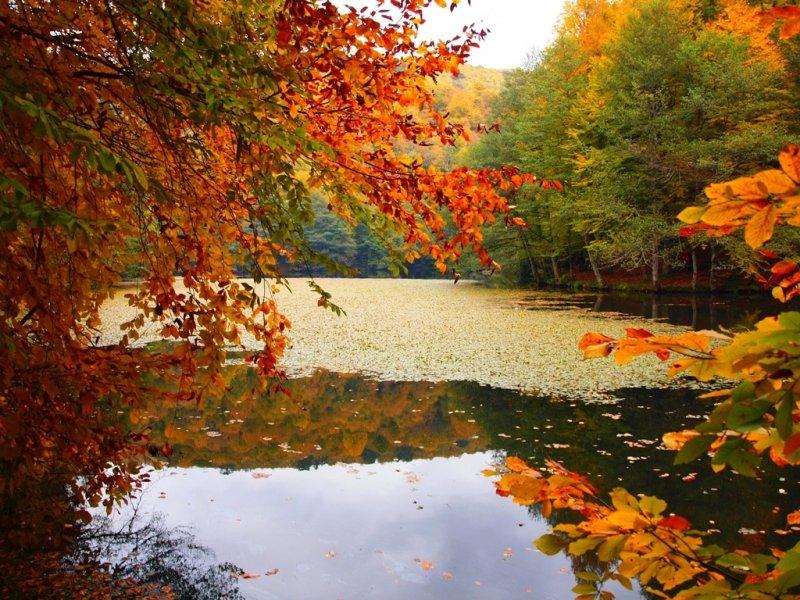 Saklı cennet Yedigöller'de sonbahar 