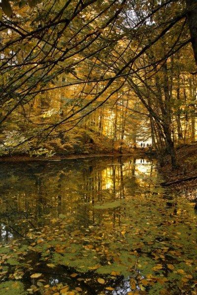 Saklı cennet Yedigöller'de sonbahar 