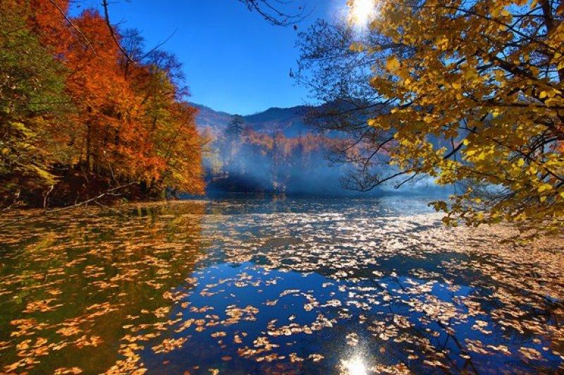 Saklı cennet Yedigöller'de sonbahar 