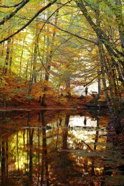 Saklı cennet Yedigöller'de sonbahar 