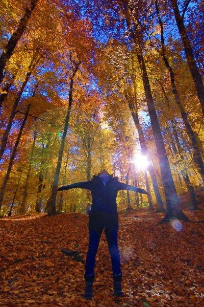 Saklı cennet Yedigöller'de sonbahar 