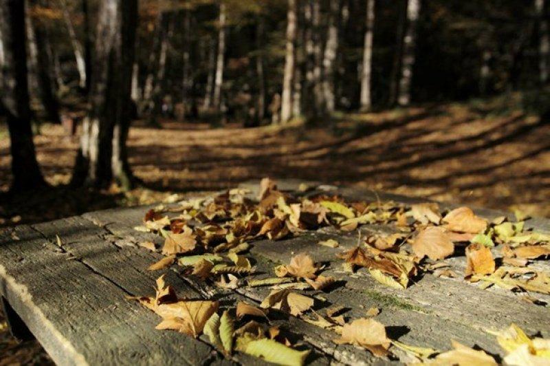 Saklı cennet Yedigöller'de sonbahar 