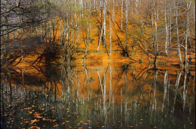 Saklı cennet Yedigöller'de sonbahar 