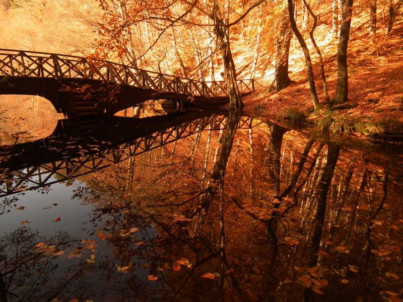 Saklı cennet Yedigöller'de sonbahar 