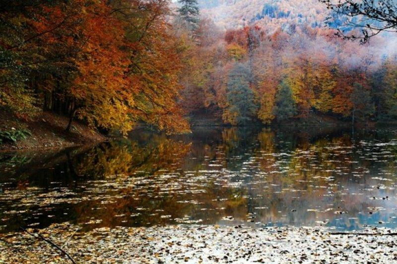 Saklı cennet Yedigöller'de sonbahar 