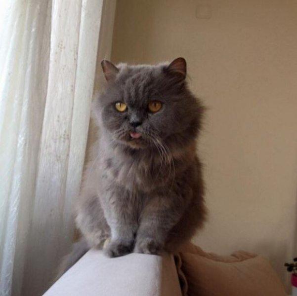 Ünlülerin objektifinden 18 Kasım Instagram paylaşımları 