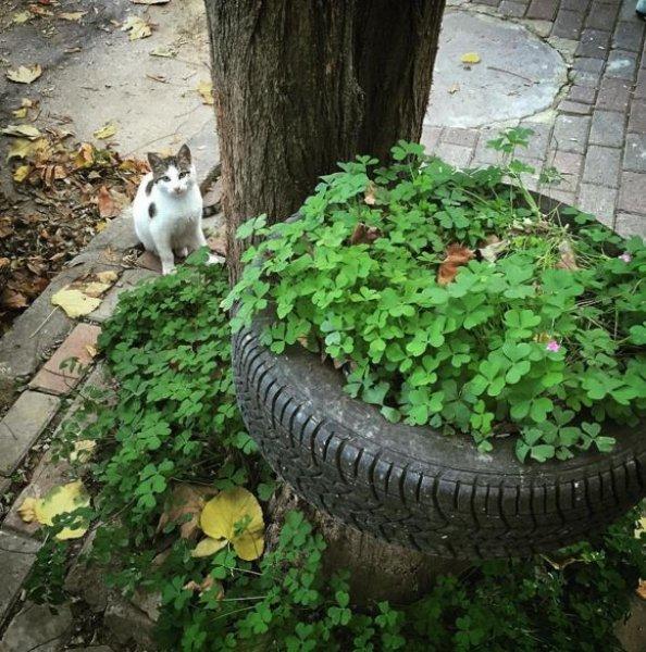 Ünlülerin objektifinden 18 Kasım Instagram paylaşımları 