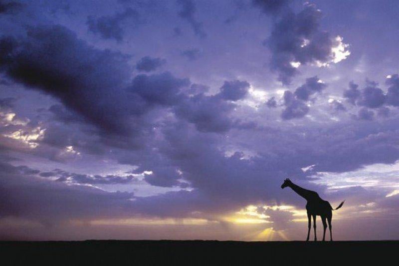 En güzel ödüllü manzara fotoğrafları 