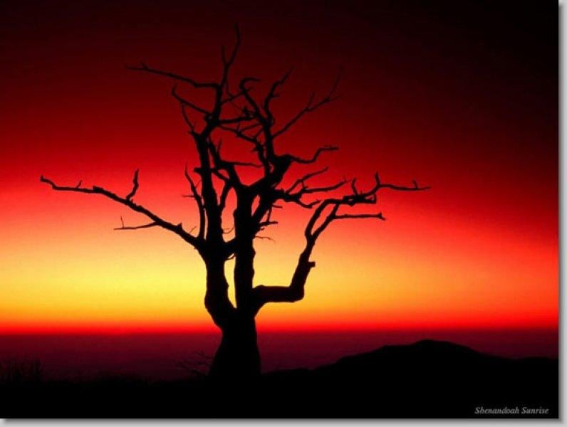 En güzel ödüllü manzara fotoğrafları 