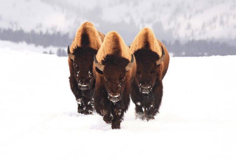 En güzel ödüllü manzara fotoğrafları 