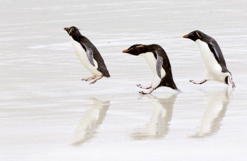 En güzel ödüllü manzara fotoğrafları 