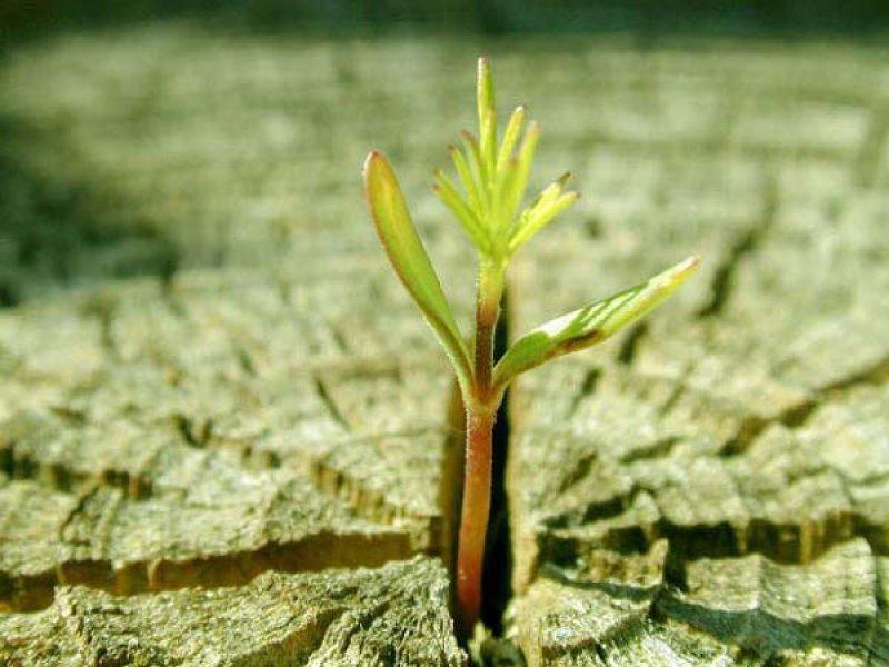 En güzel ödüllü manzara fotoğrafları 