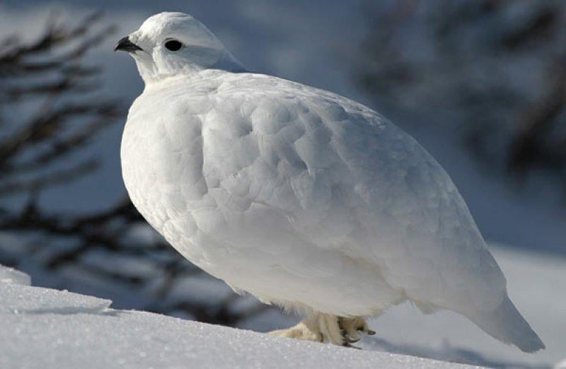 En güzel ödüllü manzara fotoğrafları 