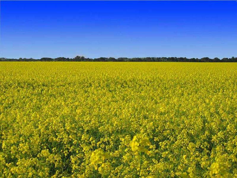 En güzel ödüllü manzara fotoğrafları 