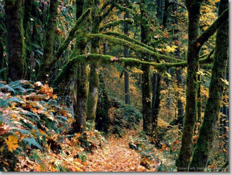 En güzel ödüllü manzara fotoğrafları 