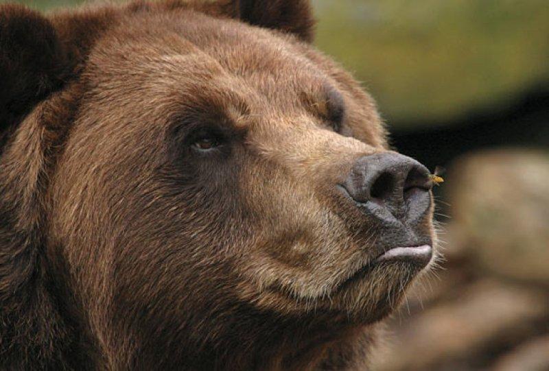 En güzel ödüllü manzara fotoğrafları 